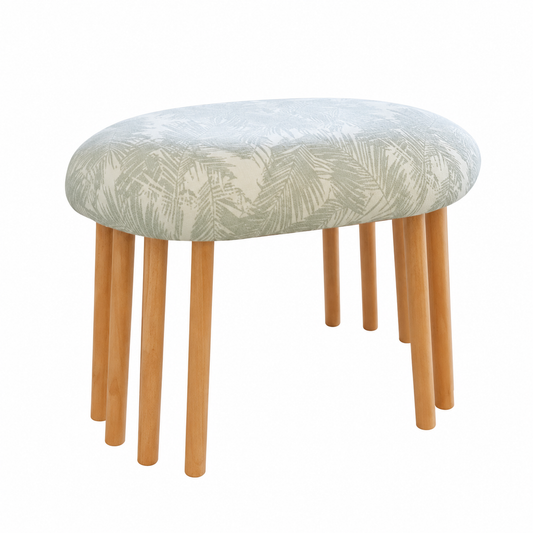 Ray Stool
